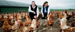 A cracking business mentor for Border Eggs